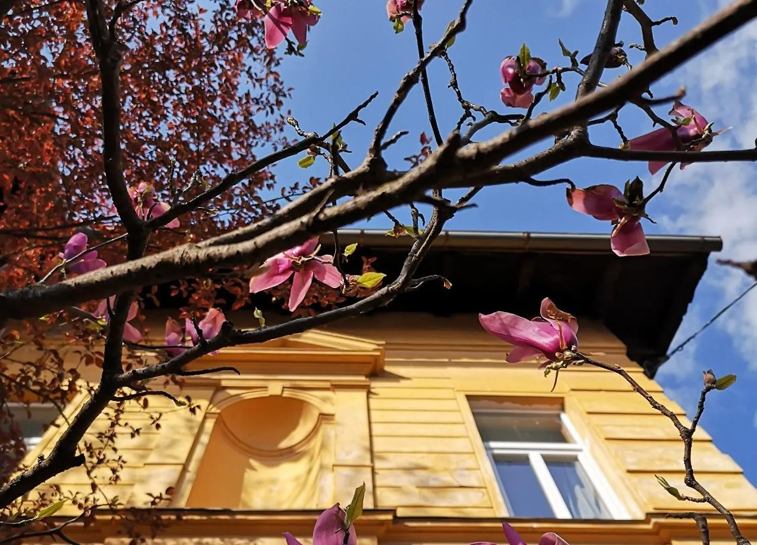 The Villa, Ljubljana City Center 0*,  Slovenia